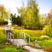 Indu Chatterjee avatar