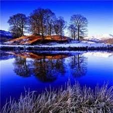 Ishani Kapoor avatar